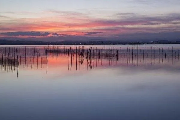 excursión a la albufera
